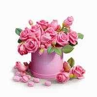Flowers in Boxes thumbnail