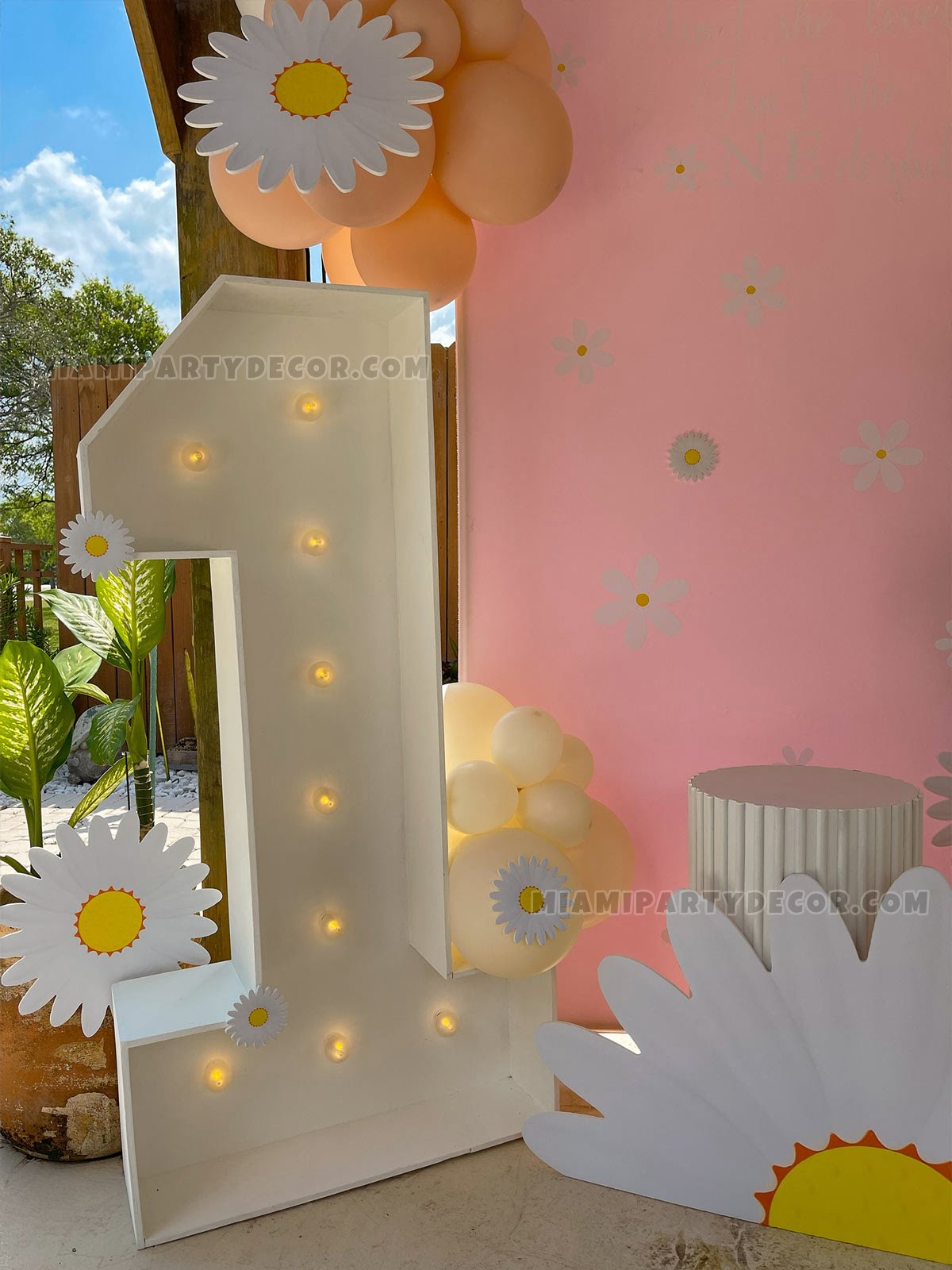 Daisy Theme Party Backdrop in Miami for Birthdays image 6
